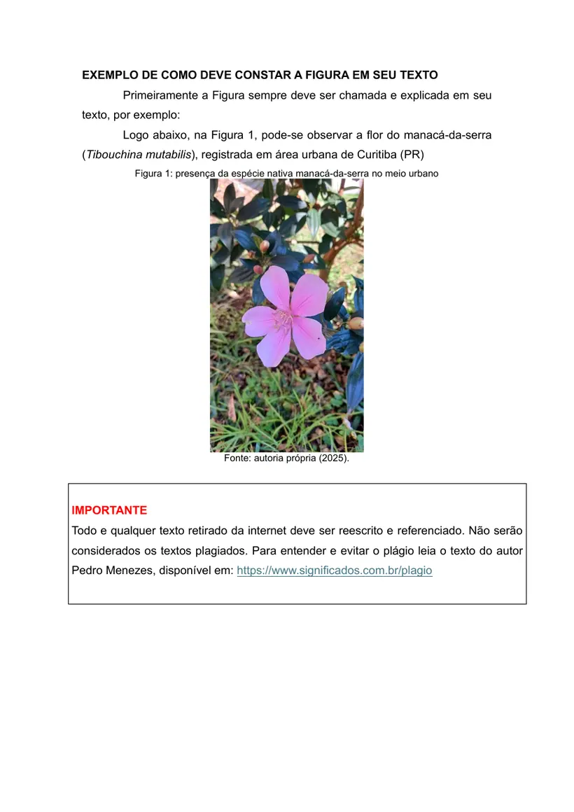 Página 3 do roteiro