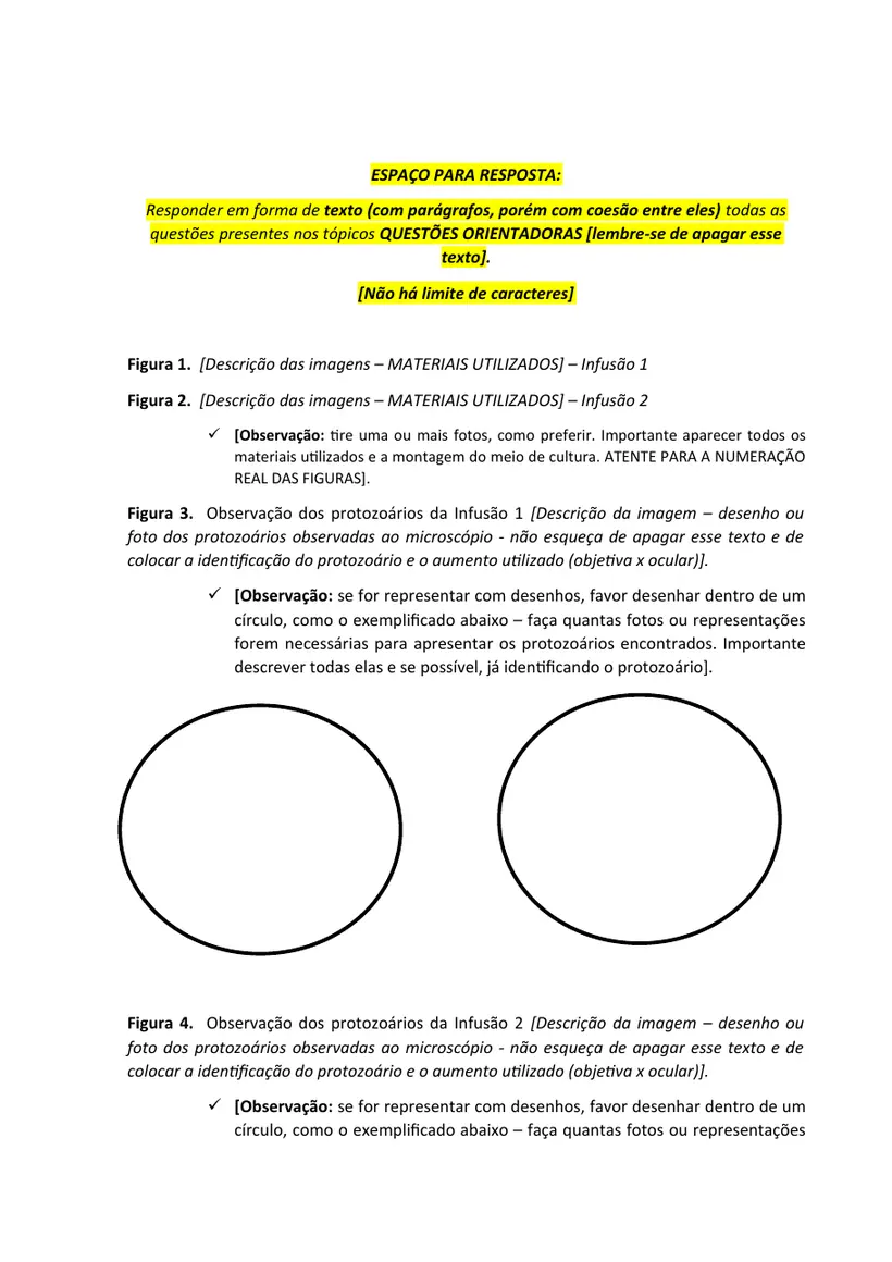 Página 2 do roteiro