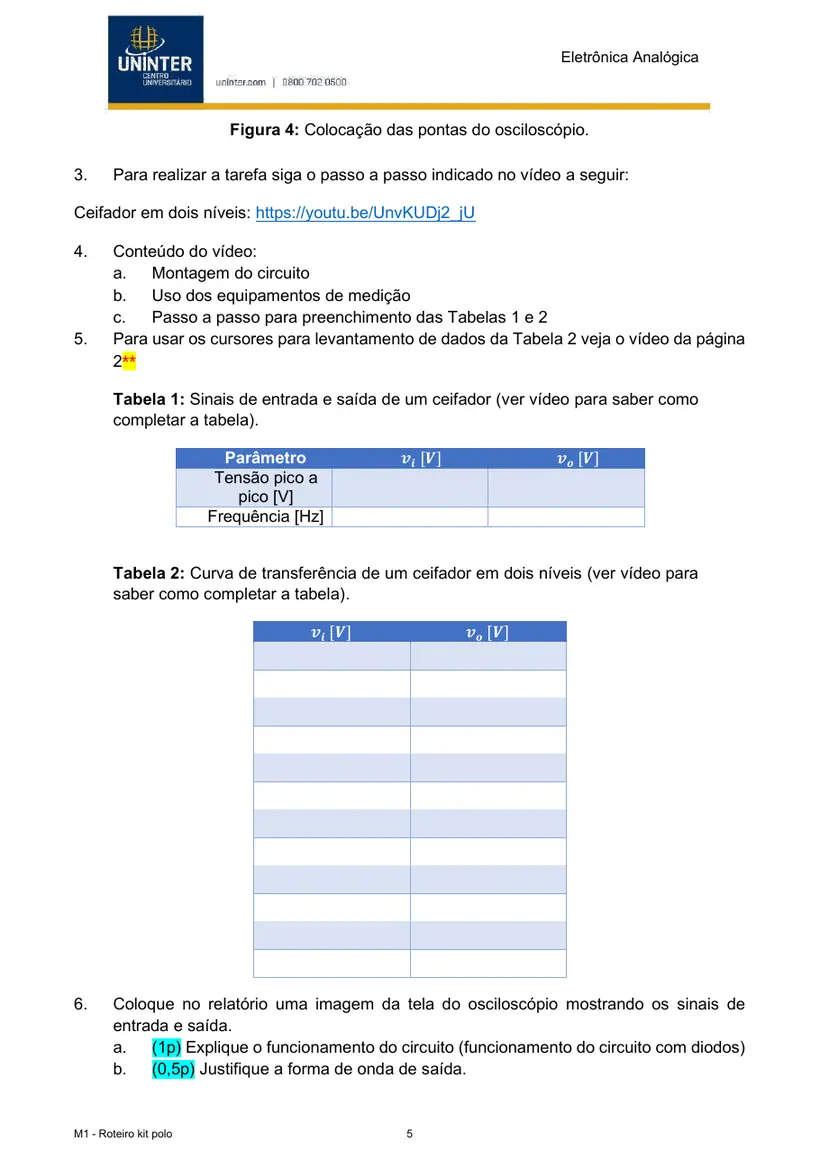 Página 5 do roteiro