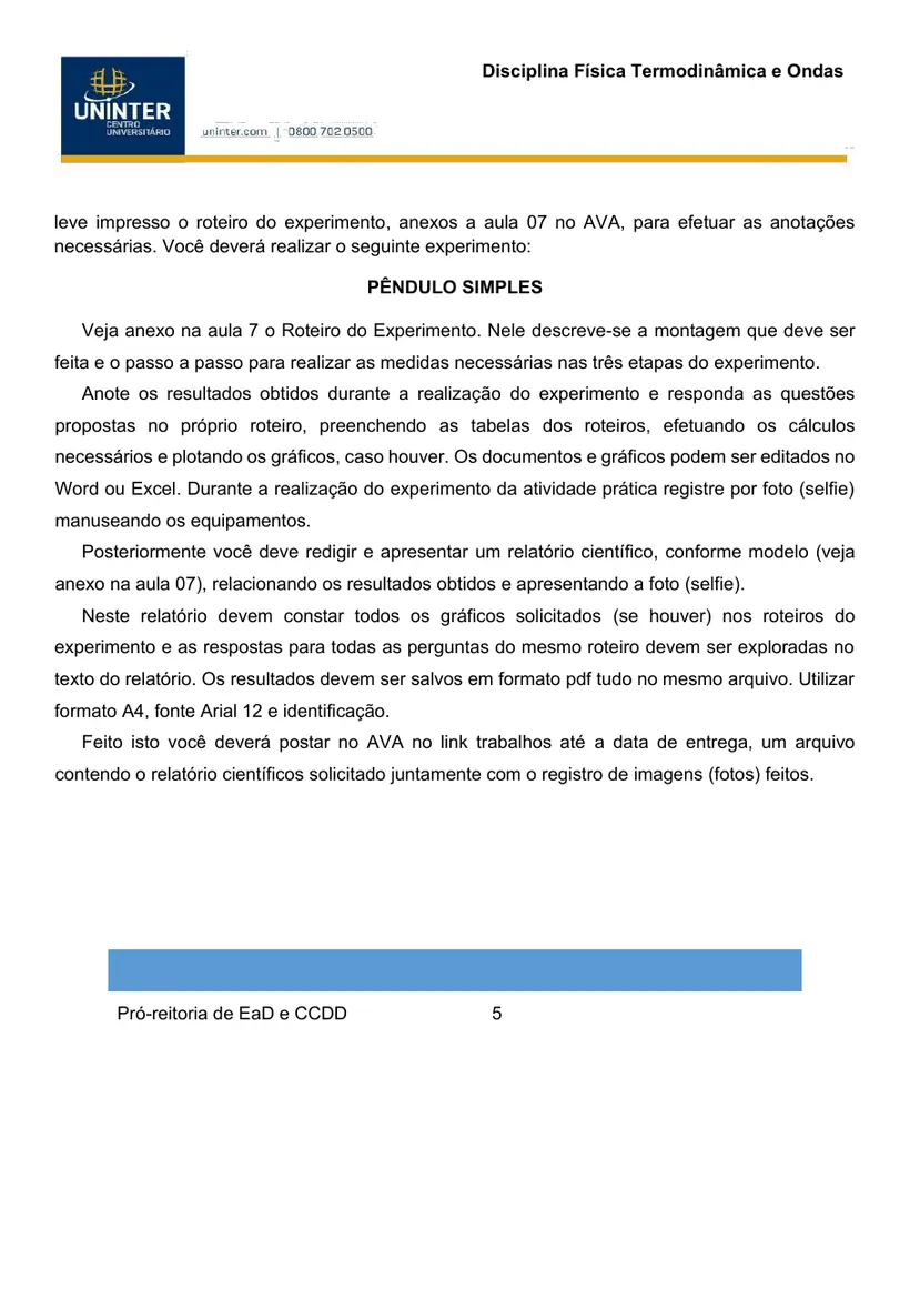 Página 5 do roteiro