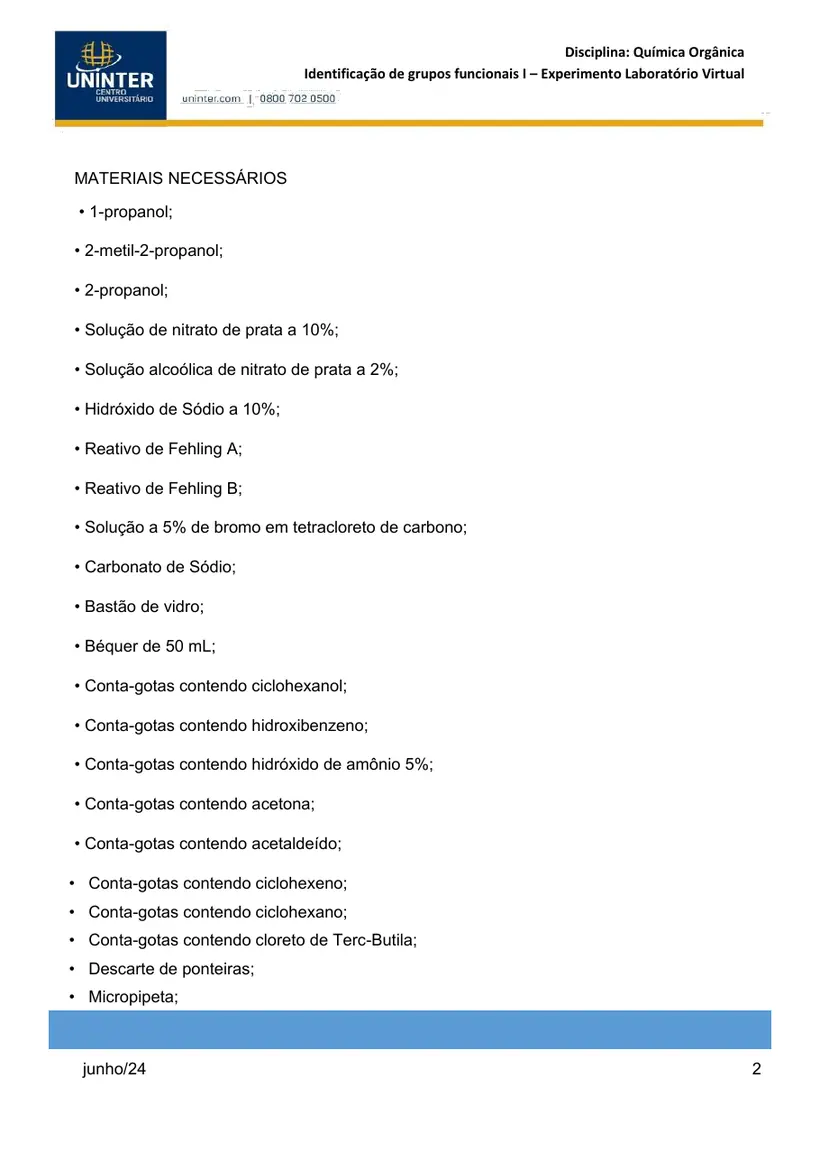 Página 2 do roteiro