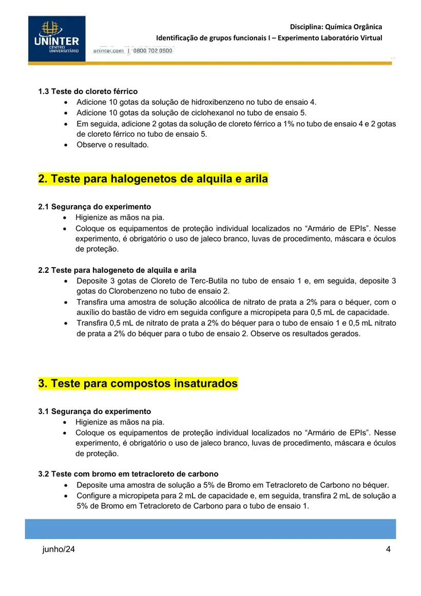 Página 4 do roteiro