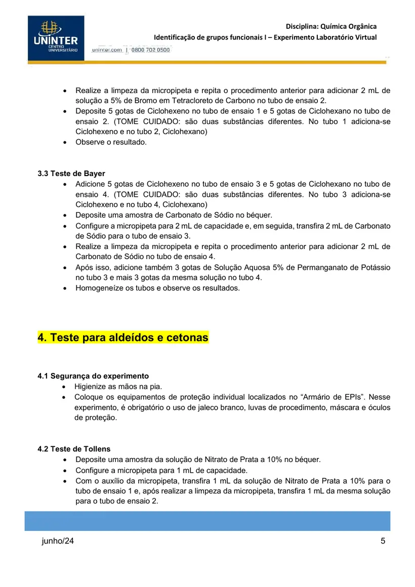 Página 5 do roteiro